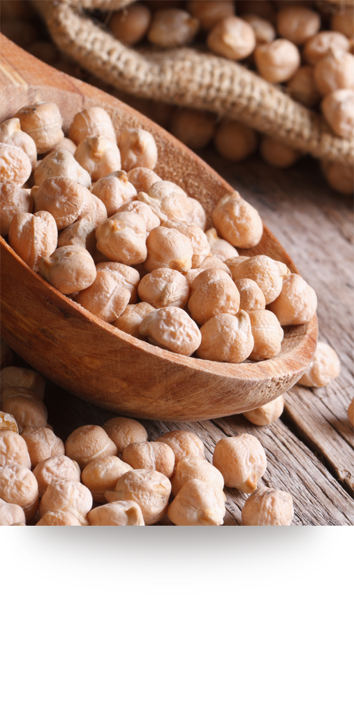 02WHOLE-RAW-CHICKPEAS-(GARBANZO-BEANS)