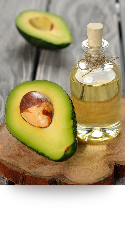 04REFINED-AVOCADO-OIL