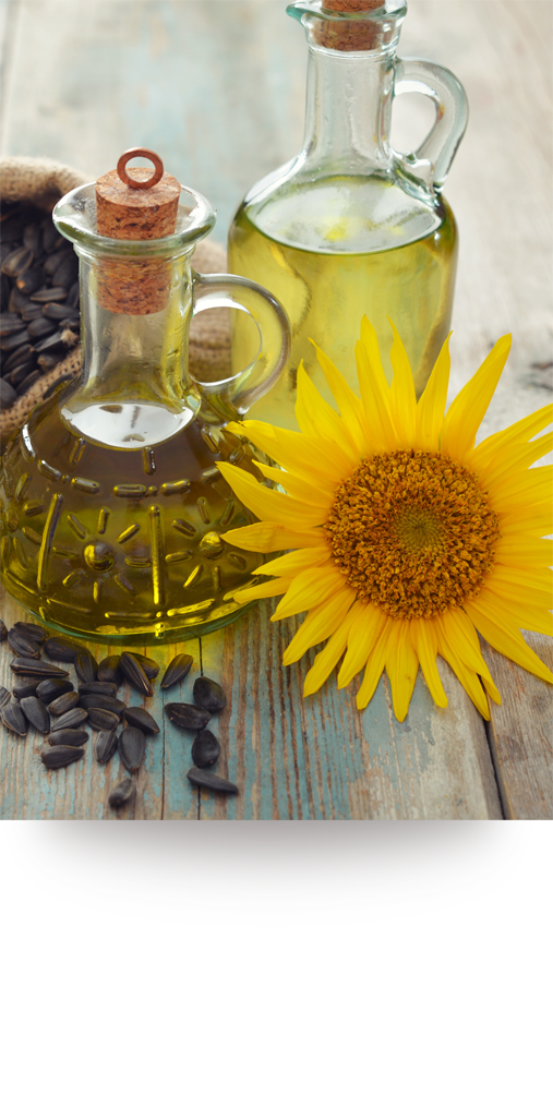 08REFINED-SUNFLOWER-OIL